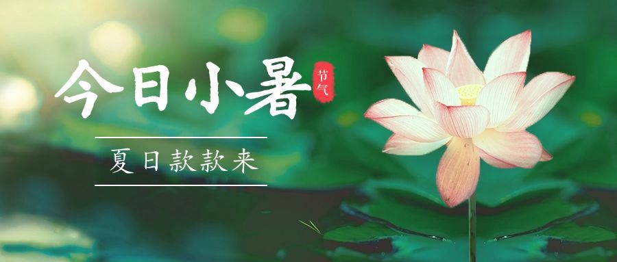 小暑节气夏天荷花莲花公众号首图预览效果