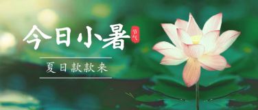 小暑节气夏天荷花莲花公众号首图