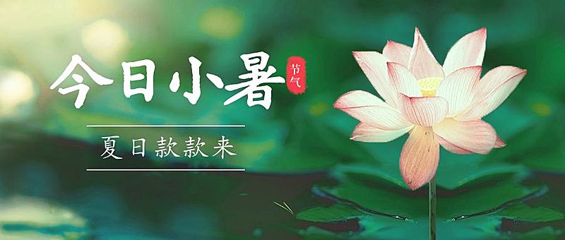 小暑节气夏天荷花莲花公众号首图