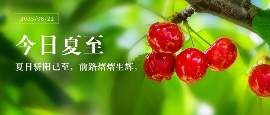 夏至节气祝福清新实景公众号首图预览效果