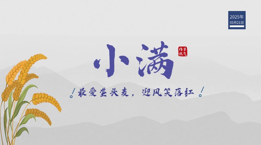 小满节气祝福问候麦穗横版海报预览效果
