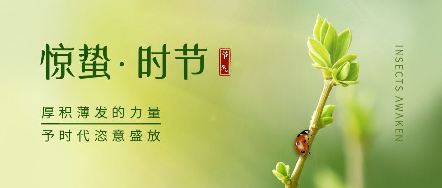 惊蛰节气祝福公众号首图预览效果