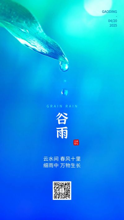 谷雨节气实景植物露珠手机海报