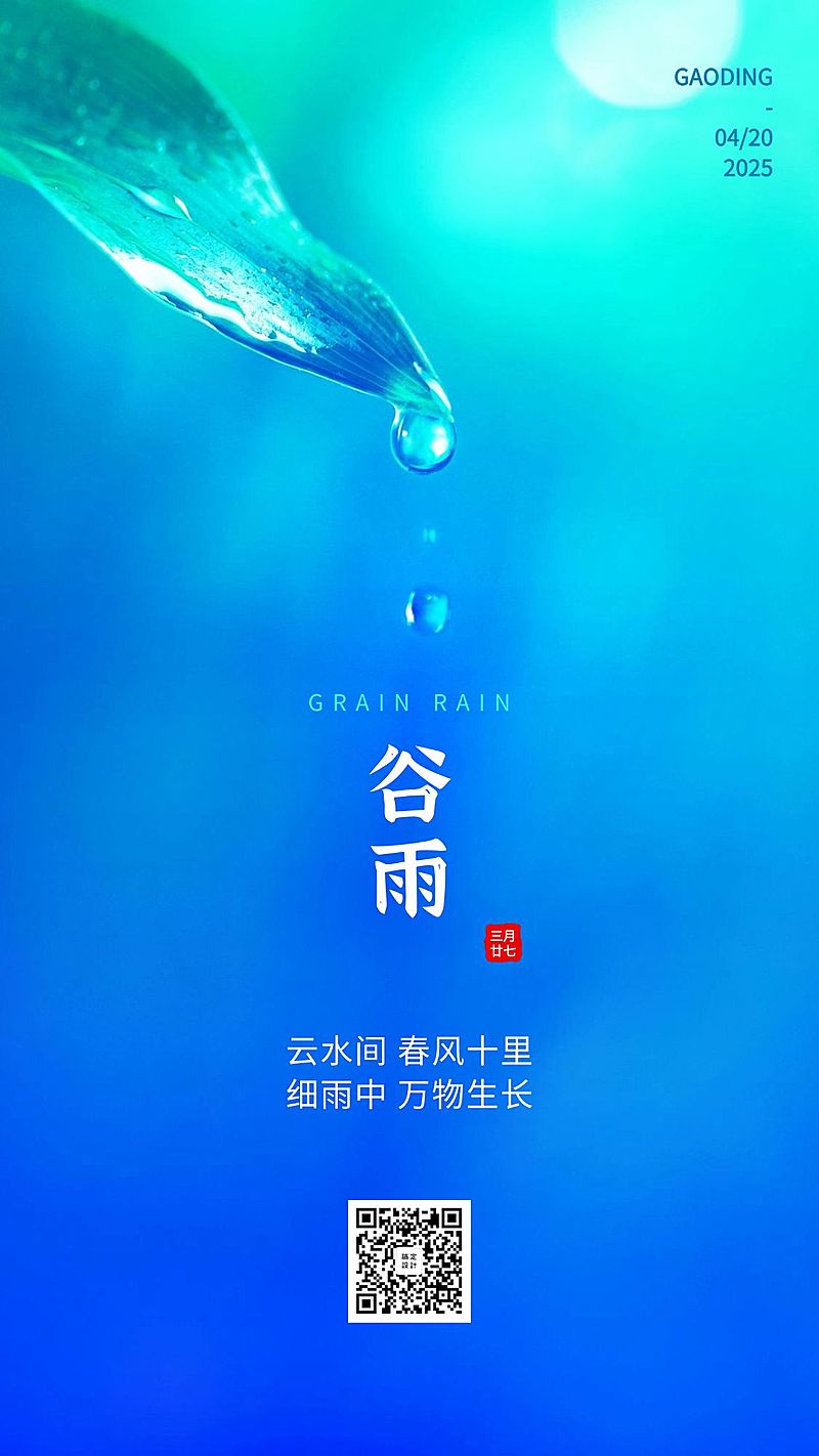 谷雨节气实景植物露珠手机海报