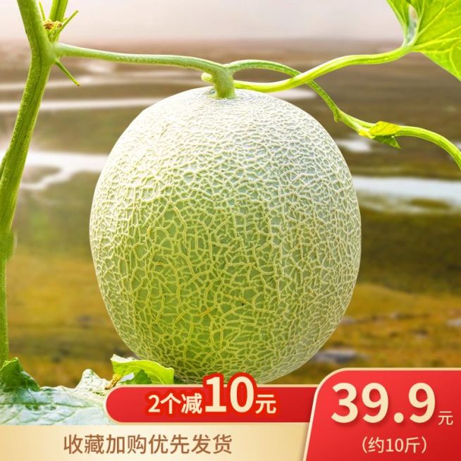 食品水果哈密瓜电商直通车主图预览效果