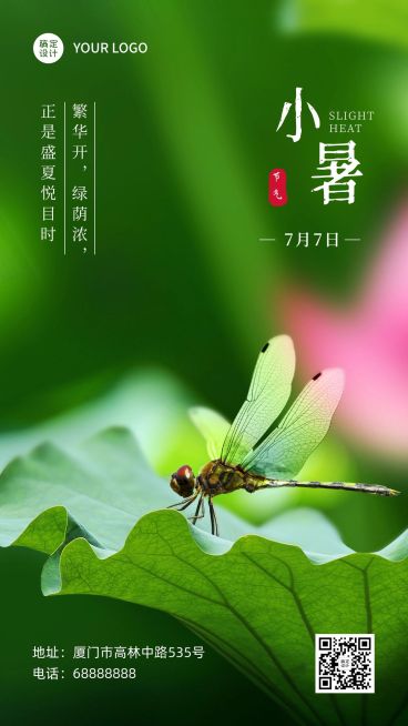 小暑节气祝福问候实景莲花手机海报预览效果
