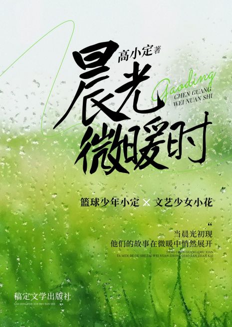 青春小说文艺肌理感书籍封面预览效果