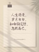 模板缩略图