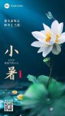 模板缩略图