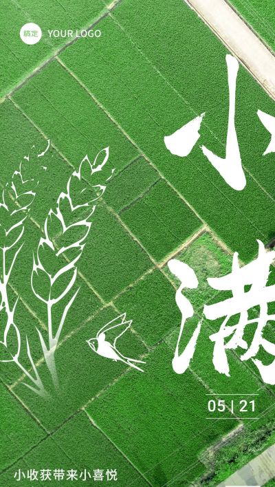 企业小满节气祝福肌理实景插画风全屏竖版海报