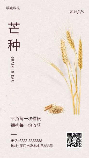 芒种节气稻穗排版合成手机海报预览效果