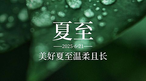 夏至节气绿植祝福问候横版海报