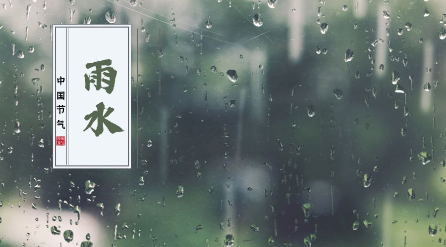 雨水二十四节气横版海报预览效果