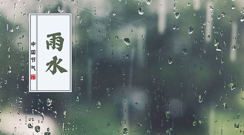 雨水二十四节气横版海报
