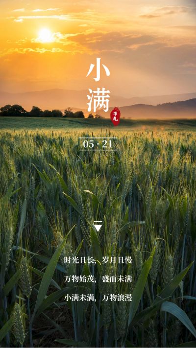 实景风小满全屏节气正能量祝福