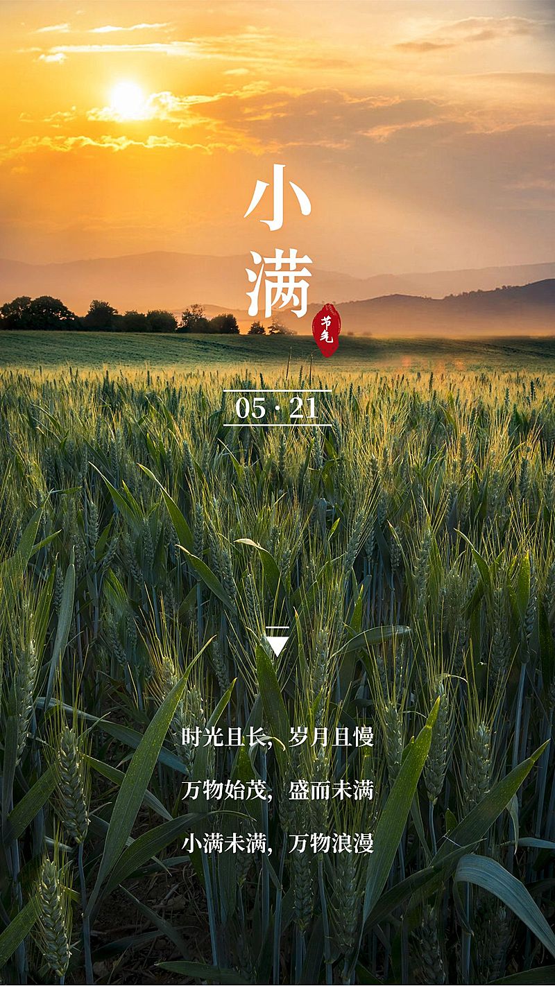 实景风小满全屏节气正能量祝福