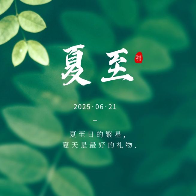 夏至节气祝福绿植夏天方形海报预览效果