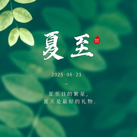 夏至节气祝福绿植夏天方形海报