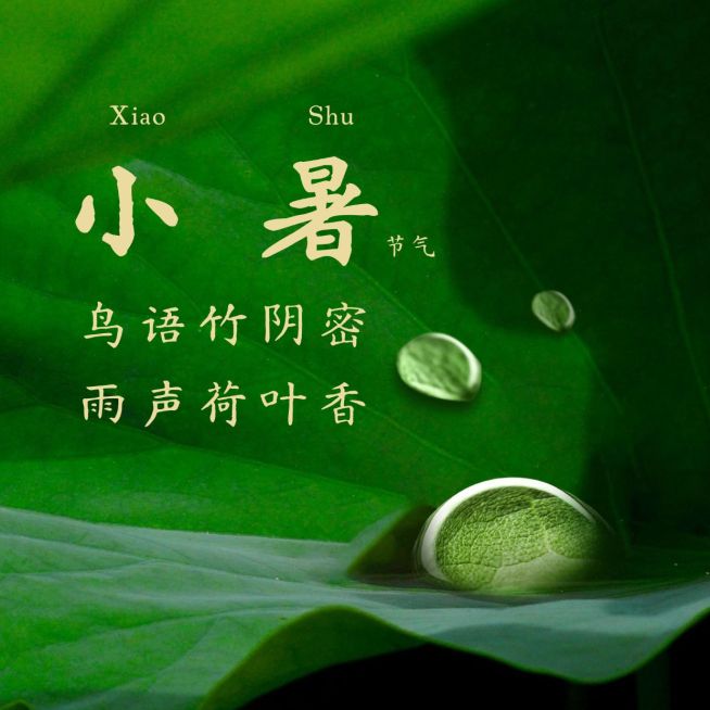 小暑节气祝福夏季实景方形海报预览效果