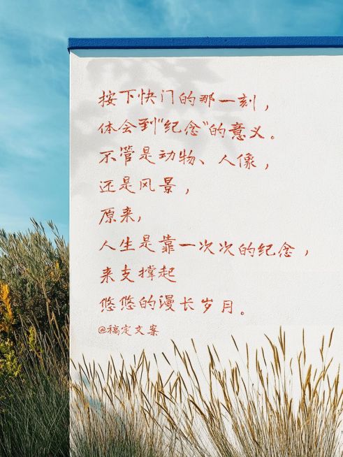 情感文案语录文艺感小红书封面预览效果