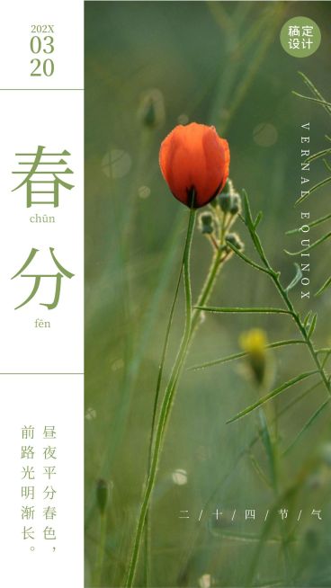 春分节气祝福实景手机海报预览效果