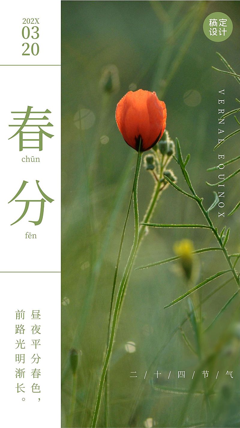 春分节气祝福实景手机海报