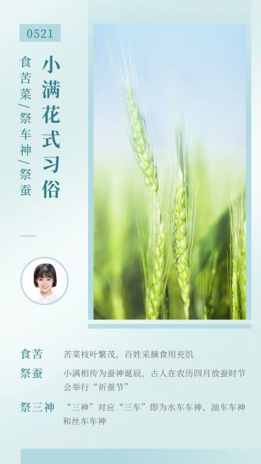 简约风小满节气习俗知识科普预览效果