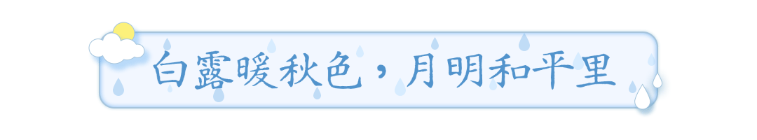 白露节气GIF动图文章标题预览效果