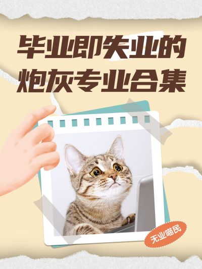 教育吸睛梗图猫咪表情包小红书封面
