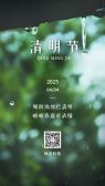 模板缩略图