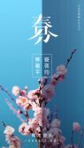 模板缩略图