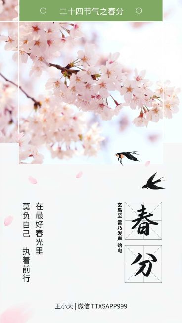 正能量春分海报预览效果