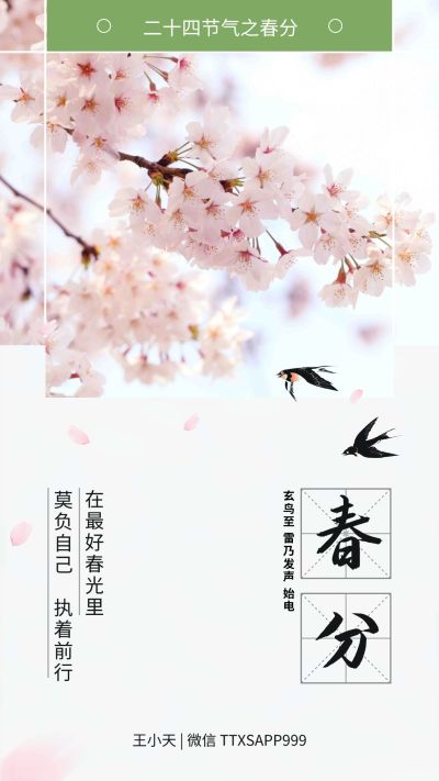 正能量春分海报