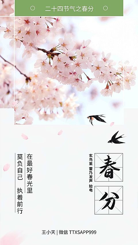 正能量春分海报