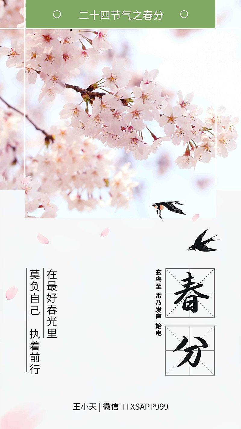 正能量春分海报