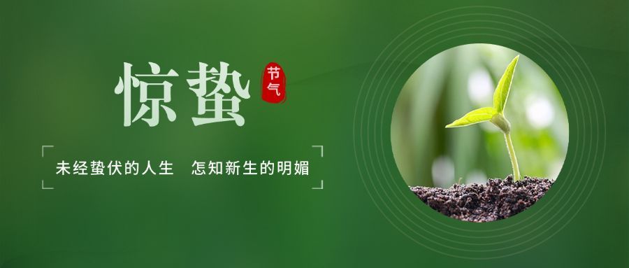 惊蛰公众号首图预览效果