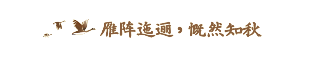 白露节气GIF动图文章标题预览效果