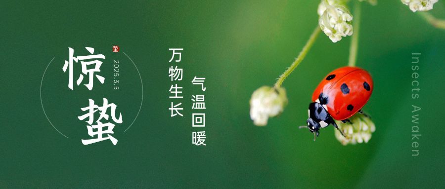 惊蛰节气祝福公众号首图