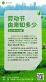 模板缩略图