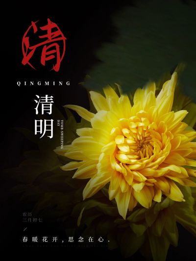 清明节节日晒照PLOG模板
