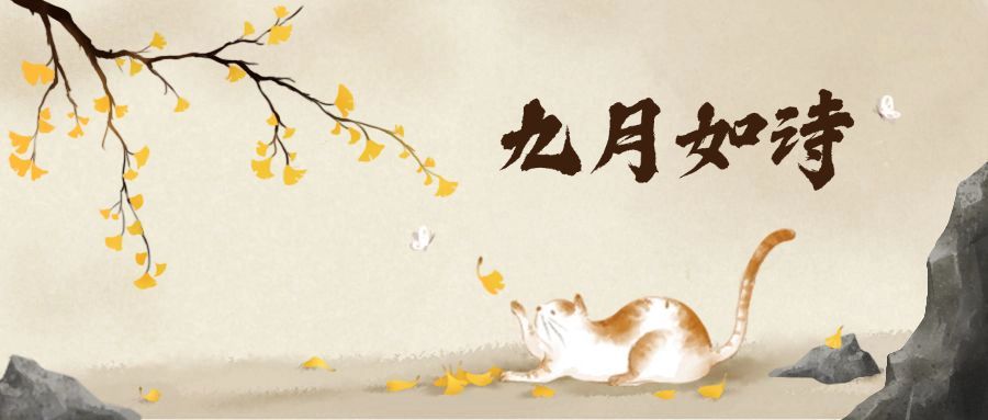九月插画小清新猫宠物公众号首图预览效果