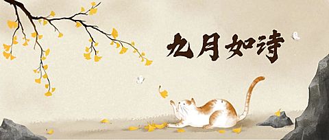 九月插画小清新猫宠物公众号首图
