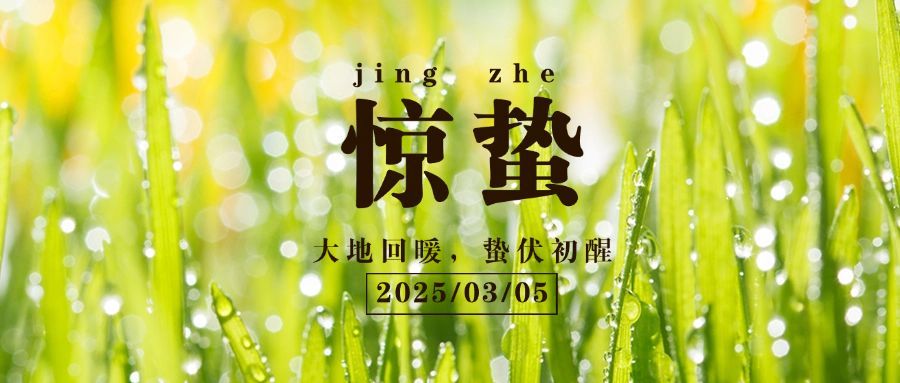惊蛰节气祝福问候实景公众号首图