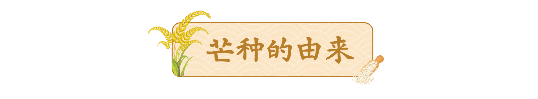 芒种节气动态文章标题小麦预览效果