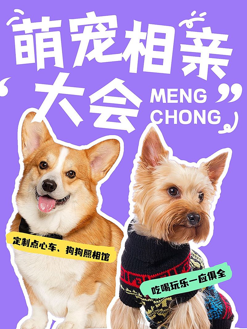 宠物活动宣传小红书封面