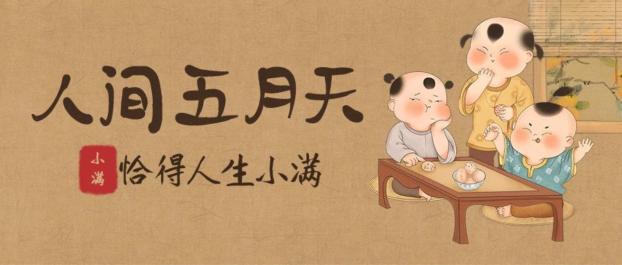 小满节气中国风插画公众号首图预览效果