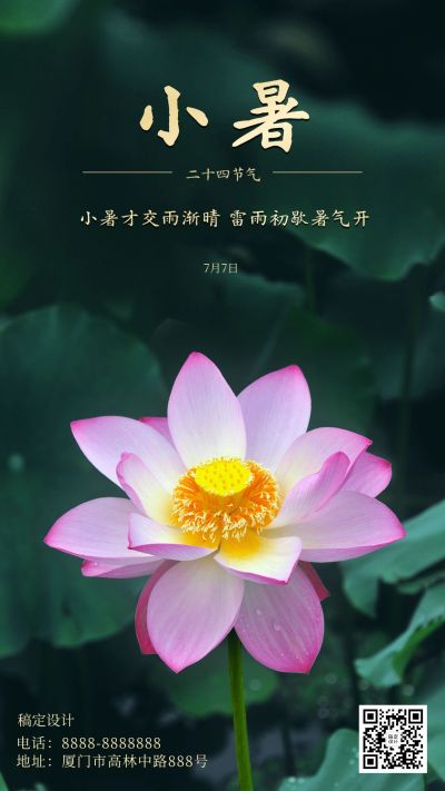 小暑节气莲花绿植绿金实景手机海报