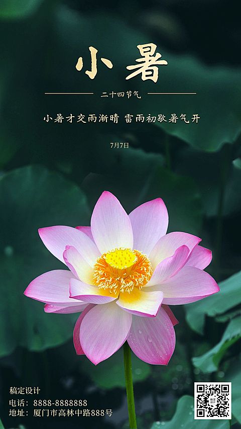 小暑节气莲花绿植绿金实景手机海报