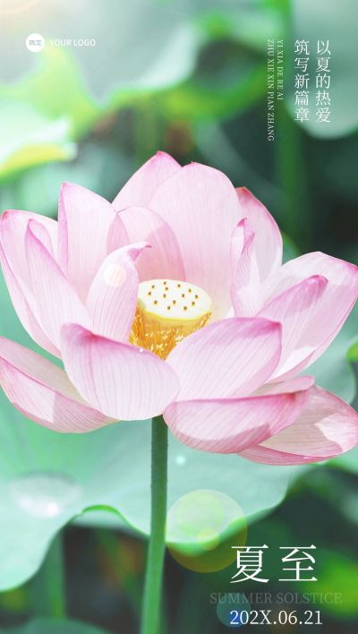 夏至房地产销售中介节气祝福问候实景风全屏竖版海报