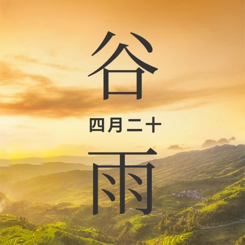 谷雨节气祝福春天实景公众号次图预览效果